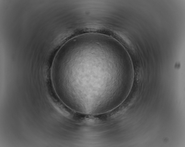 X0000091580455200708201211