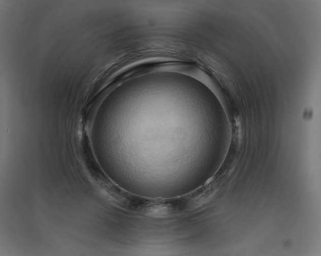 X0000091580456200708201211