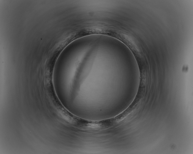 X0000091580457200708201211