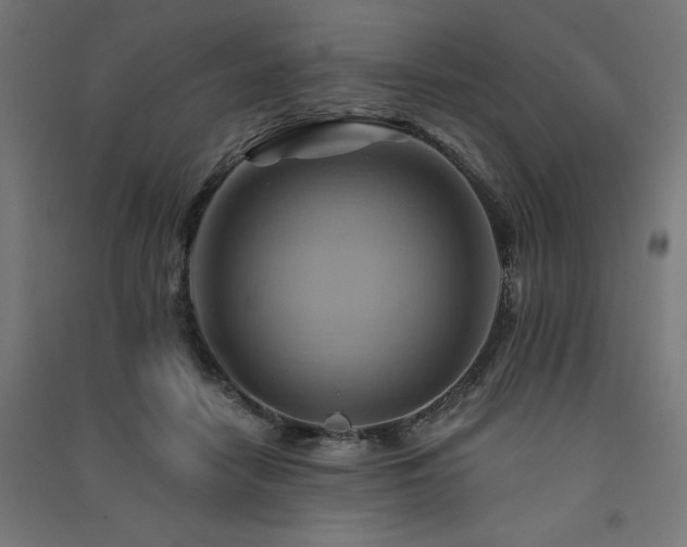 X0000091580458200708201211