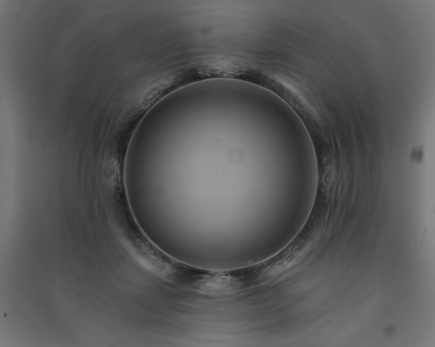 X0000091580459200708201211