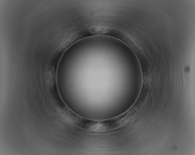 X0000091580460200708201211