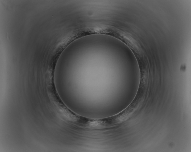 X0000091580461200708201211