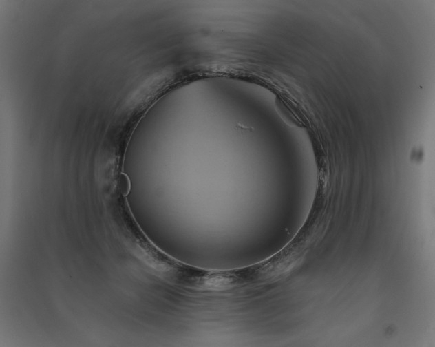 X0000091580462200708201211
