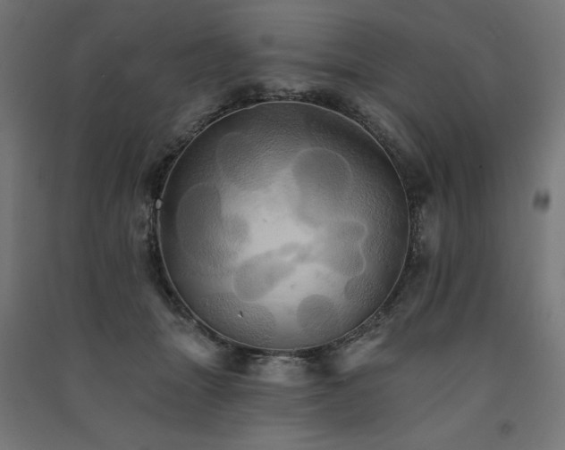 X0000091580463200708201211