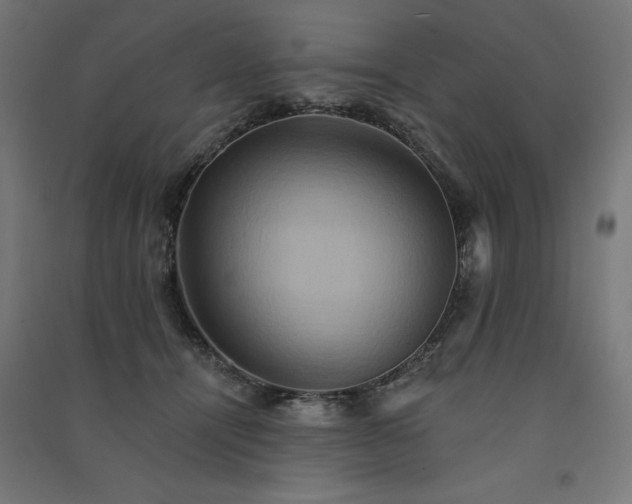 X0000091580464200708201211