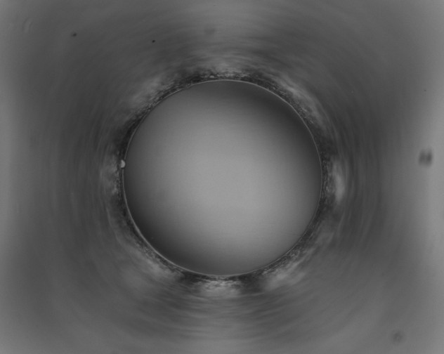 X0000091580465200708201211