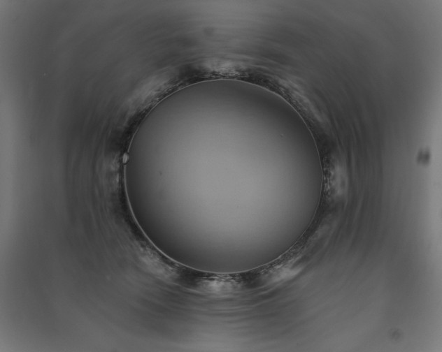X0000091580466200708201211