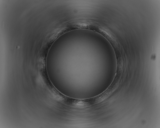 X0000091580467200708201211