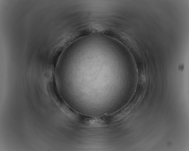 X0000091580468200708201211
