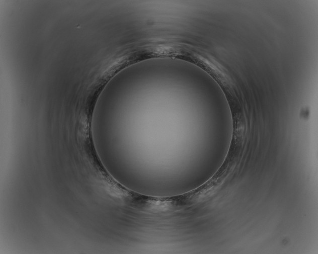 X0000091580469200708201211