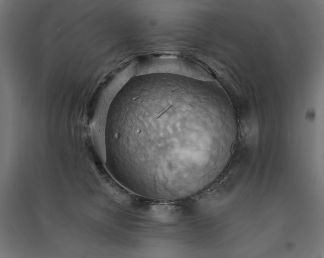 X0000091580470200708201211