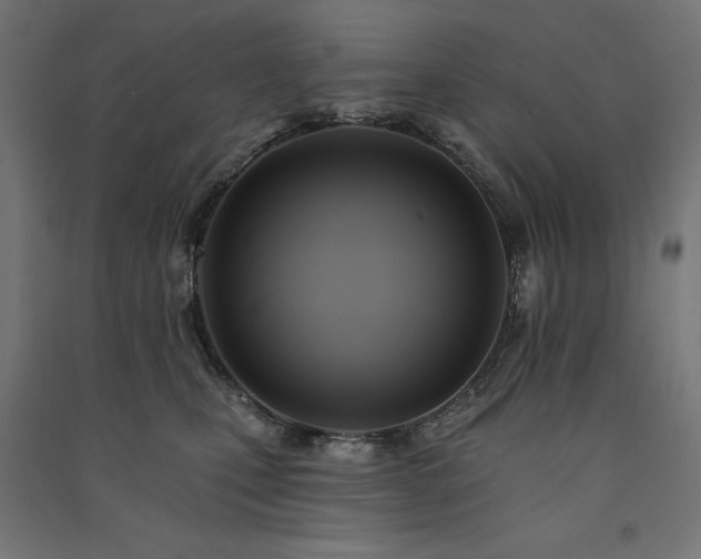 X0000091580471200708201211