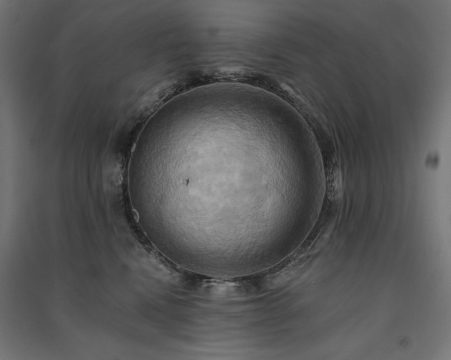 X0000091580472200708201211