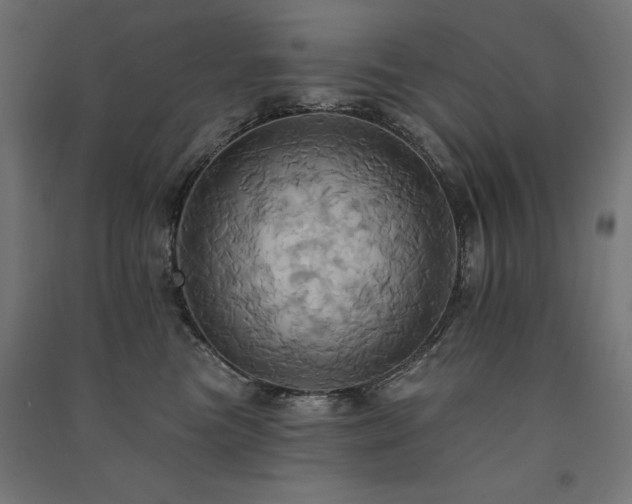 X0000091580473200708201211