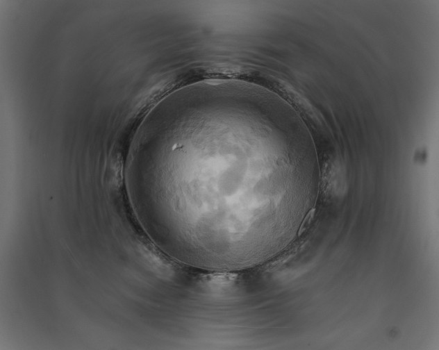 X0000091580474200708201211