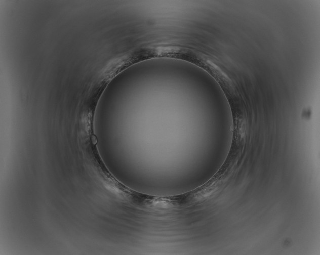 X0000091580475200708201211