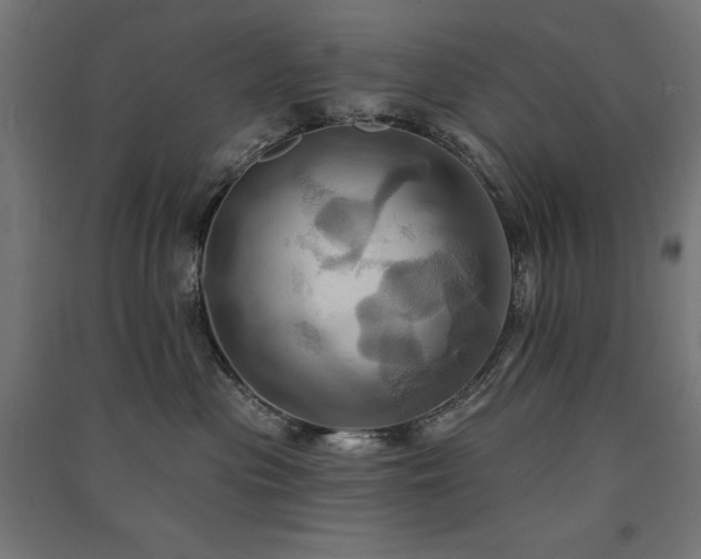X0000091580477200708201212