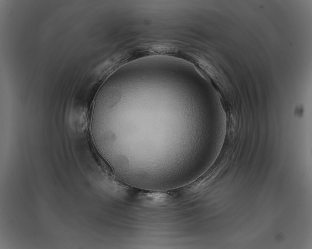 X0000091580478200708201212
