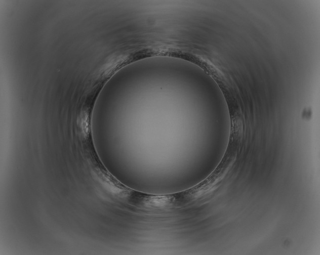 X0000091580479200708201212