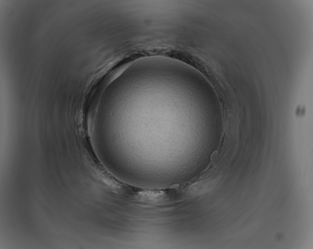 X0000091580480200708201212