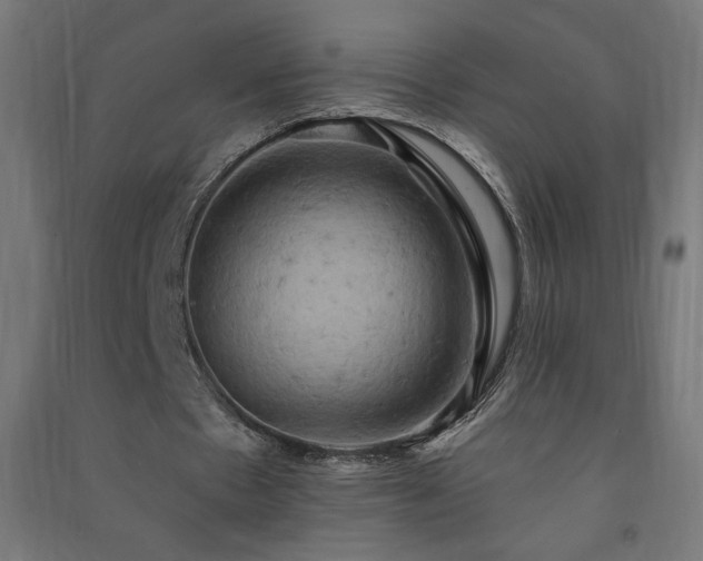 X0000091580481200708201211