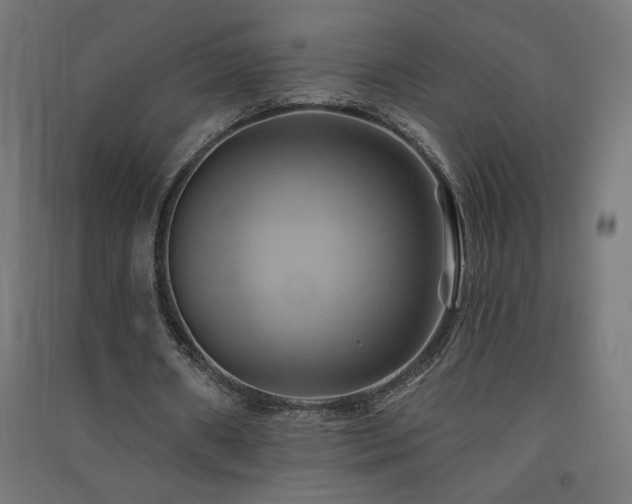 X0000091580482200708201211