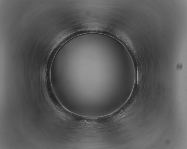 X0000091580483200708201211
