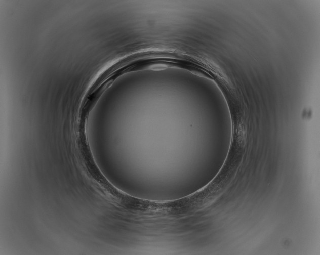 X0000091580484200708201211