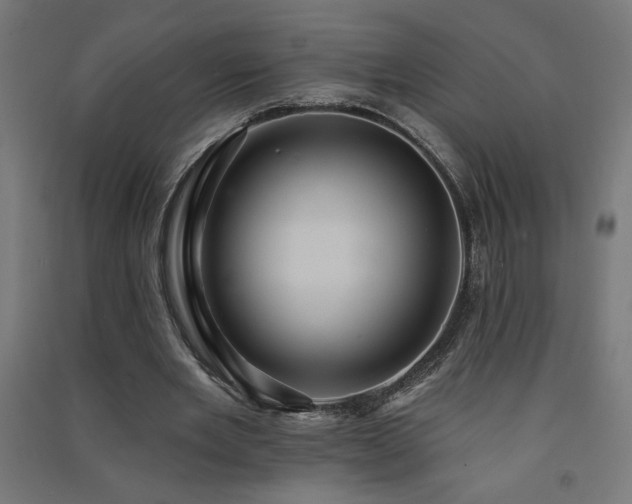 X0000091580485200708201211