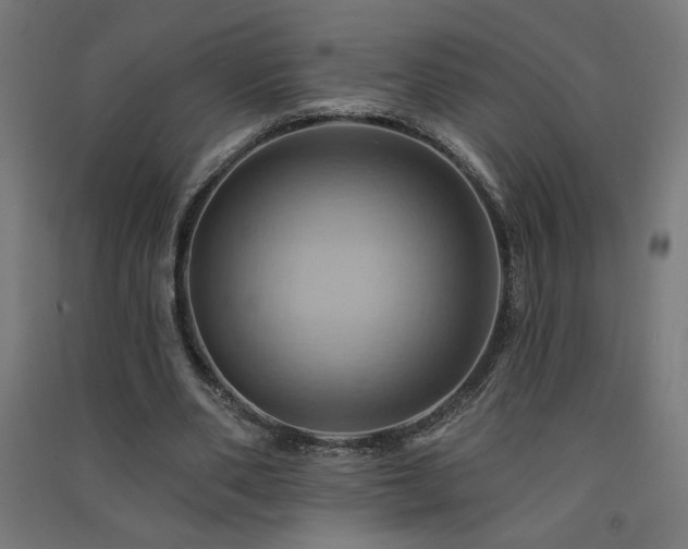 X0000091580486200708201211