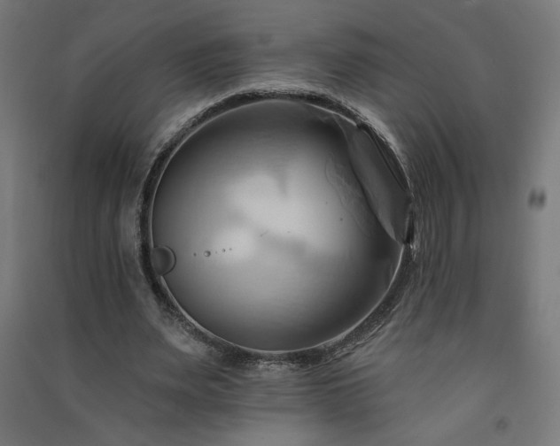 X0000091580487200708201211