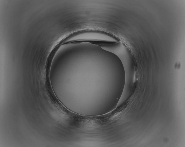 X0000091580488200708201211