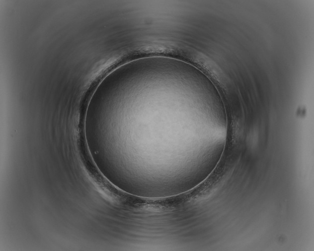 X0000091580490200708201211