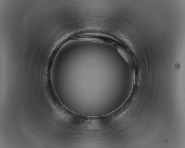 X0000091580492200708201211