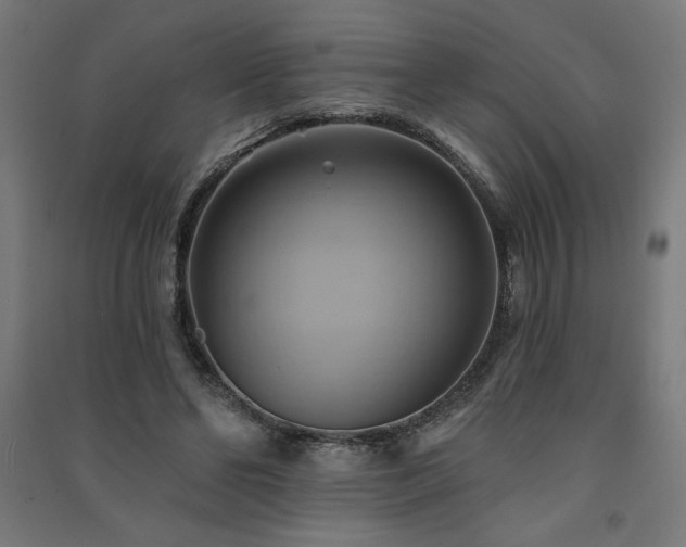 X0000091580494200708201211