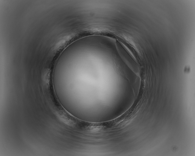 X0000091580495200708201211