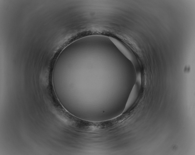 X0000091580496200708201211