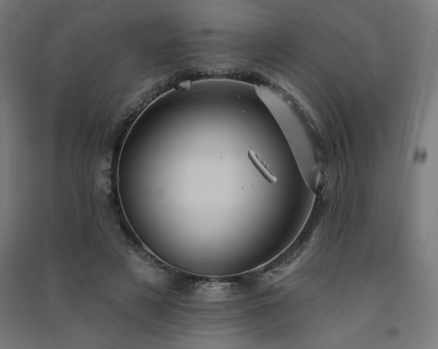X0000091580497200708201211