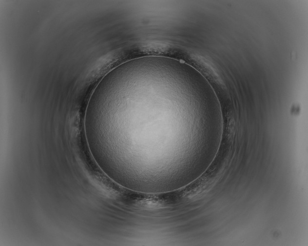 X0000091580498200708201211