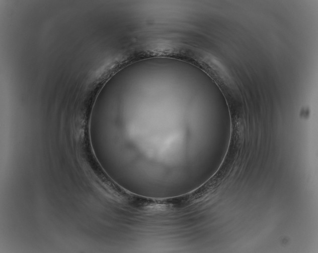 X0000091580499200708201211