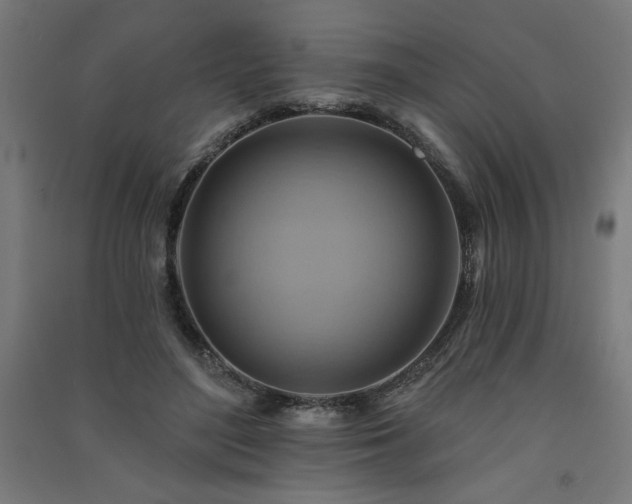 X0000091580500200708201211