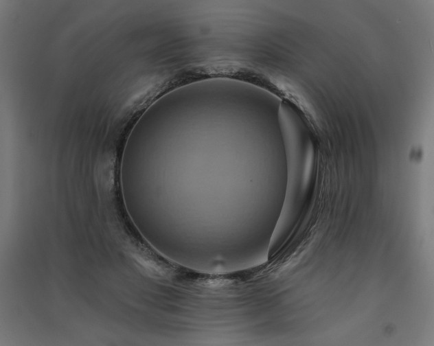 X0000091580501200708201211
