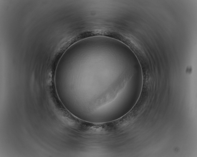 X0000091580502200708201211