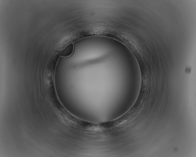 X0000091580503200708201211