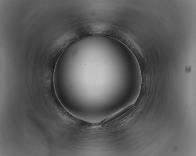 X0000091580505200708201211