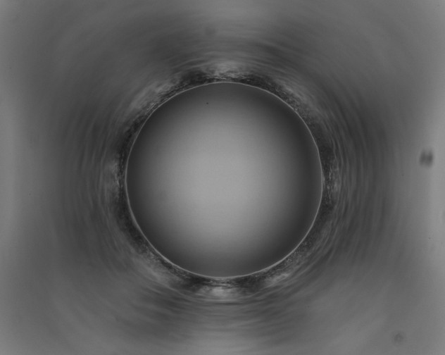 X0000091580506200708201211