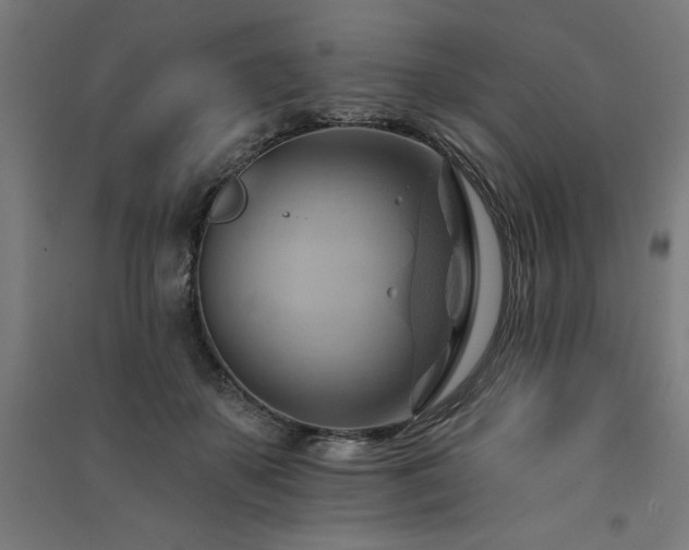 X0000091580507200708201211
