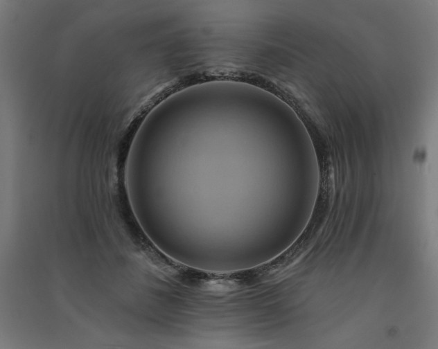X0000091580508200708201211