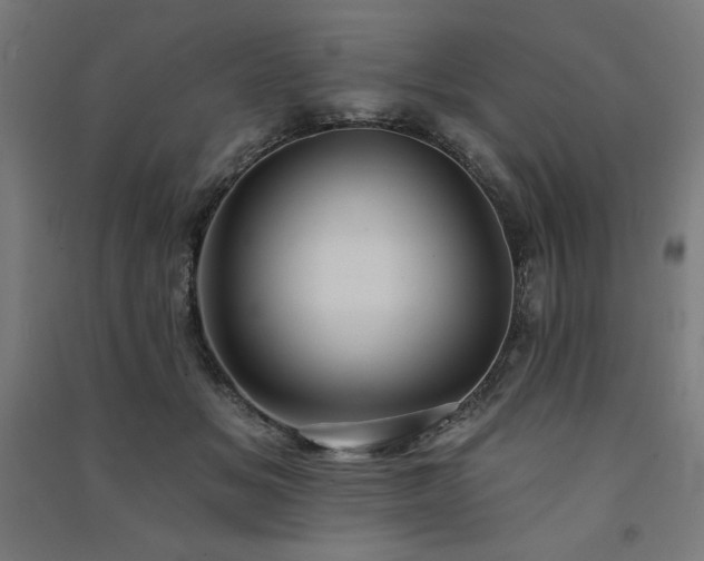 X0000091580509200708201210